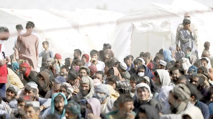 بازگشت ۳ هزار مهاجر به کشور از ایران و پاکستان 