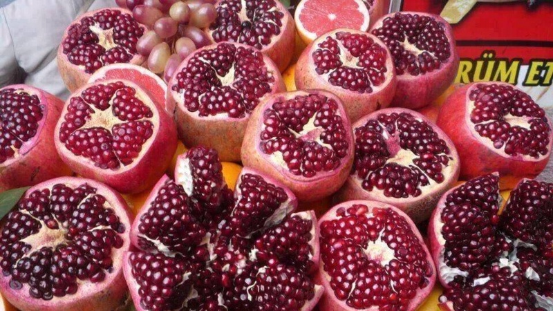 توافق حکومت سرپرست و روسیه برای گسترش صادرات محصولات کشاورزی