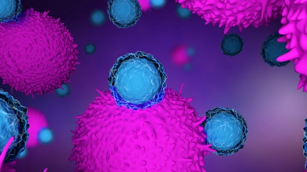 وہ 6 عام غذائیں جن سے کینسر سے متاثر ہونے کا خطرہ بڑھتا ہے