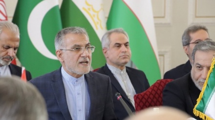 عدم حضور افغانستان در نشست تهران تأثیری بر روابط دوجانبه ندارد