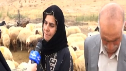 ژنانی عەشیرە، ئەستووندەکی ڕەشماڵ