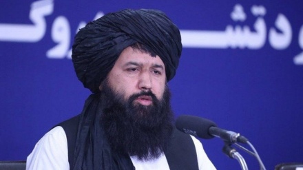 بازدید ندا محمد ندیم سرپرست وزارت آموزش عالی حکومت سرپرست از مراکز علمی قم 