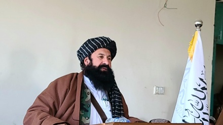 ادعاها در مورد منشاء اصلی حمله به جان «حقانی»