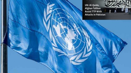 کالعدم تحریک طالبان پاکستان (ٹی ٹی پی) اور افغان طالبان کو لے کر اقوام متحدہ کی چونکانے والی رپورٹ