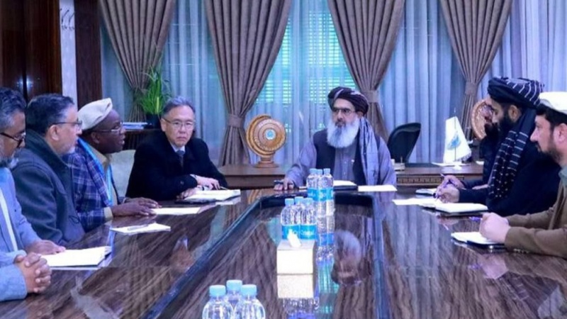  سازمان جهانی صحت برای مبارزه با بیماری سل در افغانستان متعهد شد