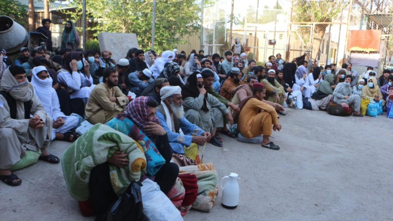 د کارګرو تبادلې په اړه د کابل او تهران سلامشورې 