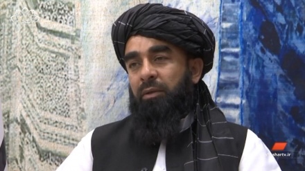 انتشار گزارش دستاوردهای یک‌ساله حکومت سرپرست 