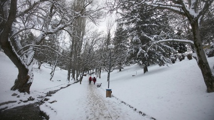 Berfê rêya gellek navçeyên kurdnişîn ên Tirkîyê girt