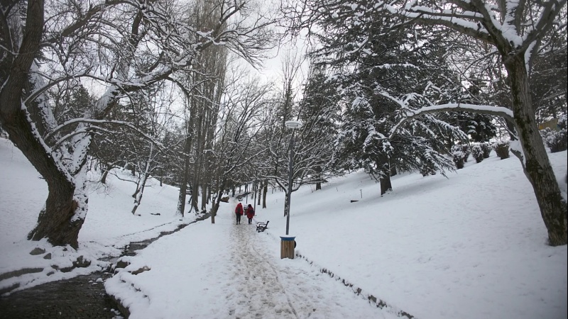 Berfê rêya gellek navçeyên kurdnişîn ên Tirkîyê girt