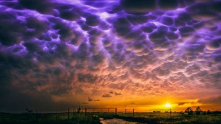 هەوری ماماتۆس