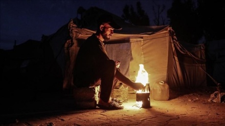 Qeyrana nû li Xezzeyê bi destpêbûna demsala sirr u seqemê