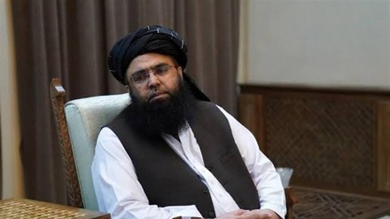 بررسی نقشه راه مهاجرین در دیدار وزیراقتصاد با وزیر مهاجرین