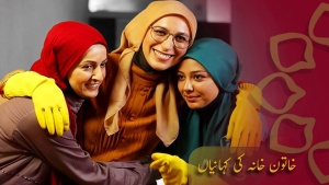 ڈرامہ سیریل - خاتون خانہ کی کہانیاں