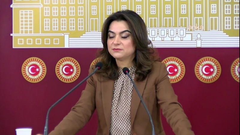 Cîgira Hevseroka Fraksyona DEM Partîyê: Aştî tenê ji rêya dadperwerî, beranberî u çaksazîyên hiqûqî pêkan e