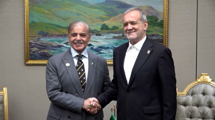 دیدار و گفتگوی رییس ‏جمهوری ایران و نخست‎وزیر پاکستان