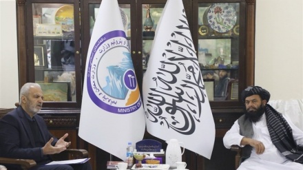 همکاری در بخش معادن محور رایزنی سفیر ایران با وزیر معادن حکومت سرپرست