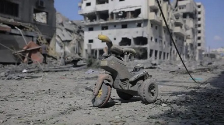 Jîyana bixof di nav kavilên Xezzeyê da