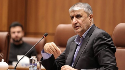 ESLAMI: IRAN POSTIGAO STRATEŠKI NAPREDAK U LIJEČENJU RAKA