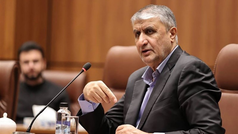 ESLAMI: IRAN POSTIGAO STRATEŠKI NAPREDAK U LIJEČENJU RAKA