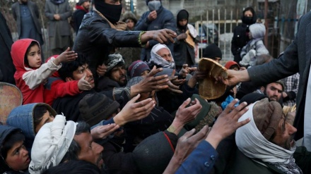 هشدار سازمان ملل درباره افزایش گرسنگی در افغانستان 