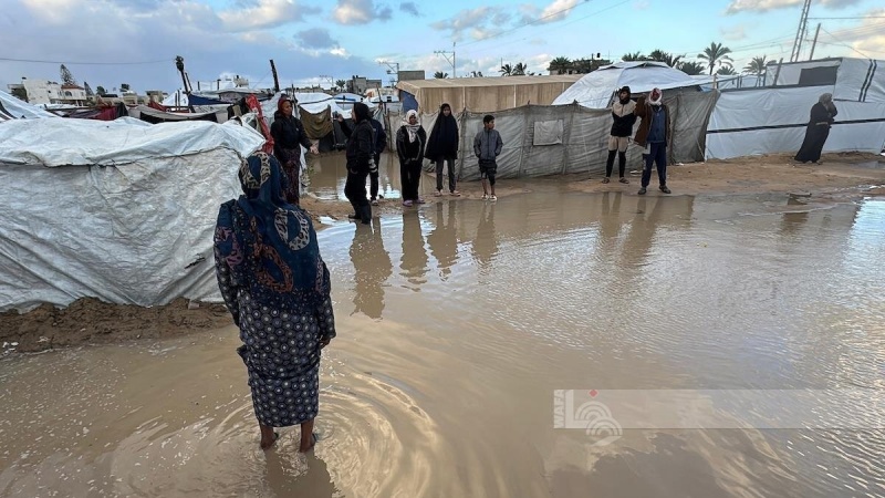 25 filistînî ji ber serma û seqemê li Xezzeyê şehîd bûn