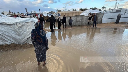 ٢٥ فەلەستینی لە غەززە لە سەرما ڕەقبوونەوە