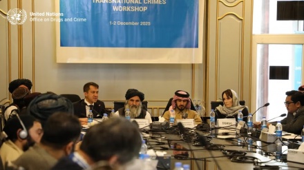 مواد مخدر محور گفتگو حکومت سرپرست و نمایندگان کشورهای عضو مبارزه با مواد مخدر