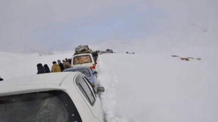 برف‌کوچ و طوفان؛ دایکندی در محاصره انسداد راه‌ها