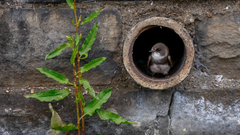 Wêneyên herî baş ên jiyana bejî di sala 2025an da