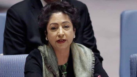 پاکستان کو غزہ کے مبہم امن منصوبے کے دلدل میں نہیں پھنسنا چاہیے: سابق پاکستانی سفارتکار