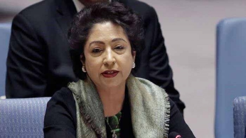 پاکستان کو غزہ کے مبہم امن منصوبے کے دلدل میں نہیں پھنسنا چاہیے: سابق پاکستانی سفارتکار