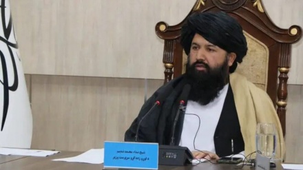 رایزنی سرپرست وزارت تحصیلات عالی در ایران 