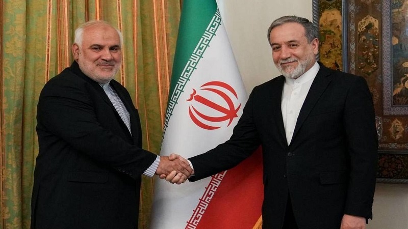 ہندوستان میں اسلامی جمہوریہ ایران کے نئے سفیر کی تعیناتی+ ویڈیو