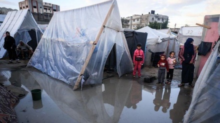 قەیرانی مرۆیی لە غەززە