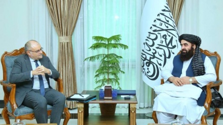 متقی: اتحادیه اروپا باید در مسیر پیشرفت افغانستان نقش‌آفرینی کند