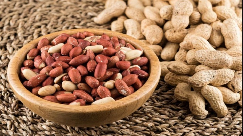 Rola badema erdê di xurtkirina bîrê da