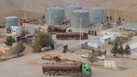 فروخته شدن 18 تن نفت در ولایت سرپل افغانستان