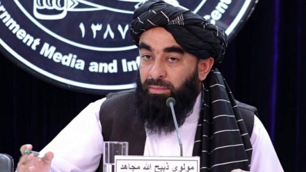 مجاهد وايي ۲۰۲۵ کال مو ګڼې لاسته راوړنې درلودې