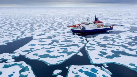 انٹارکٹیکا ماحولیاتی بحران کی زد میں