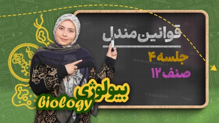 بیولوژی صنف دوازدهم-جلسه ۴ - قوانین مندل