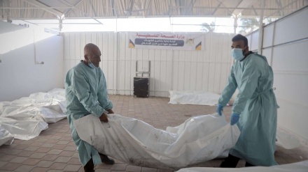 Nûçe - 2025/12/23 - 19:30