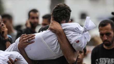 ادامه نقض آتش بس و شهادت سه فلسطینی در نوار غزه