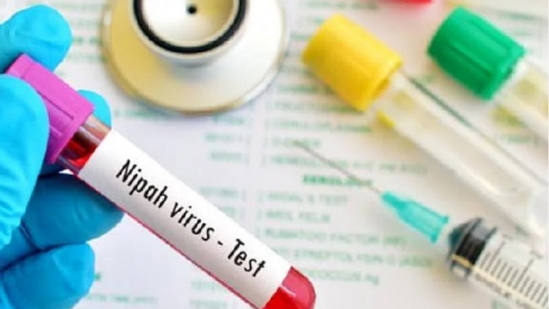 ہندوستان ؛ نیپاہ وائرس کے پھیلاؤ کے بعد مغربی بنگال میں ہائی الرٹ