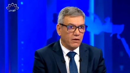 Ciwan Usif: Zimanê kînê dijî kurdan gelekî zêde bûye