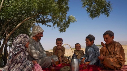 سازمان ملل از برنامه ۱۰۰ میلیون دالری برای تامین امنیت غذایی در افغانستان خبر داد