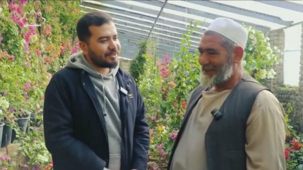 گزارش: گلخانه، مقیاس کوچک طبیعت