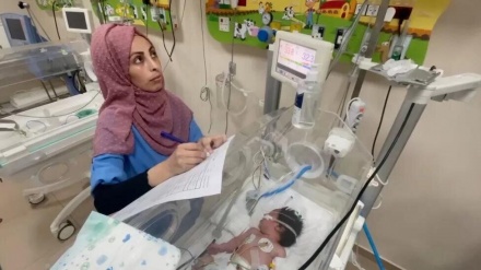 آمار تکان دهنده تولد نوزادان با نقص عضو در غزه