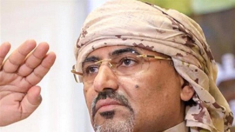 جنوبی یمن کی عبوری کونسل کے سربراہ کے فرار کے بارے میں متضاد خبریں