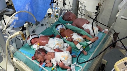 غزہ سے آئی چونکا دینے والی افسوسناک خبر! 2025 میں ہوئے 48 ہزار 5 سو بچے پیدا، لیکن سیکڑوں بچوں کی ہو گئی موت، وجہ حیران کر دینے والی!