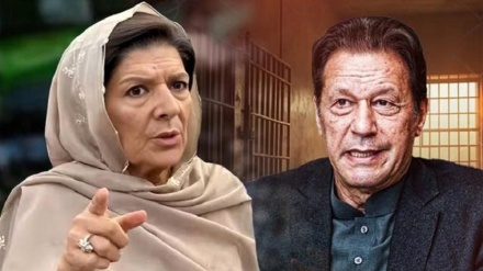 انسداد دہشت گردی عدالت میں عمران خان کی بہن علیمہ خان کی بریت کی درخواست پر فیصلہ محفوظ 